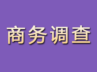 河北区商务调查